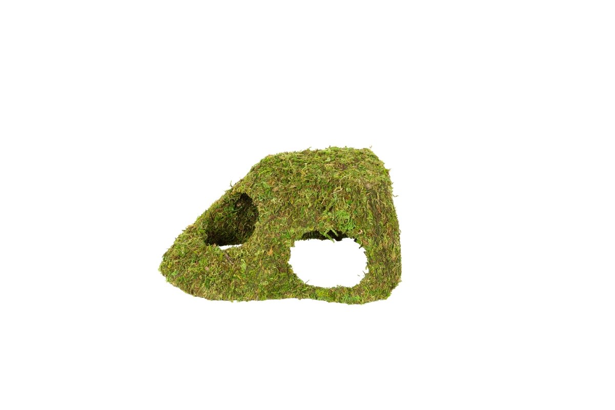 Reptizoo Natural Moss Dome hide, angled view