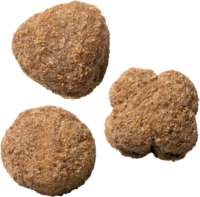 Wagg Active Goodness Beef and Veg - kibble close-up