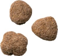 Wagg Active Goodness Chicken and Veg - kibble close-up